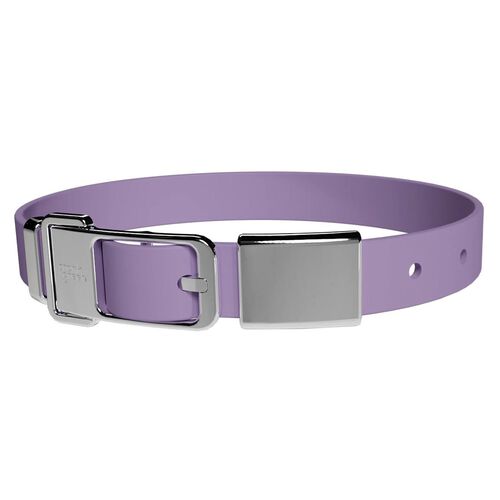 frank green Pet Collar + Name Tag - Large